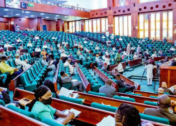 Budget: Reps approve N8.4tn borrowing, N6.3tn debt service