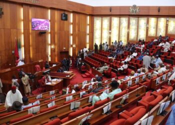 Senate Backs CBN on Naira Redesign After Rowdy Session