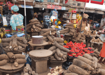 Balanced Diet Out of Reach for Average Nigerians as Food Inflation Bites